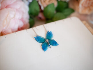 Papillon étoile turquoise
